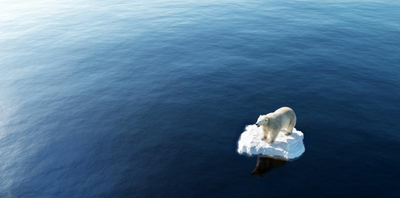 Climate Image of Polar Bear on Melting Iceberg